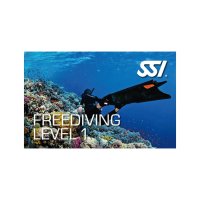 울산 프리다이빙 강습 SSI 해양패키지(베이직+풀+Lv1) 이용권