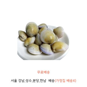 모시조개 최저가 가성비상품