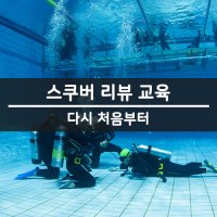 PADI 수영장 리뷰 재교육 해외투어 전 다시 교육 패디 서울 경기 스킨스쿠버다이빙