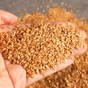 볶은 골드 아마씨 1kg