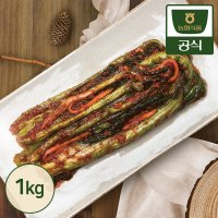 농협식품 한국농협김치 갓김치 1kg 국산