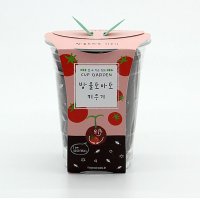 바질 방울토마토 모종 키트 씨앗키트 해바라기