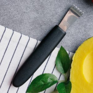 독일 요하네스 기셀 레몬 갈기 필러 오렌지 자몽 칼