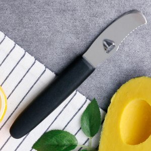 독일 요하네스 기셀 오렌지 칼 필러 레몬 자몽