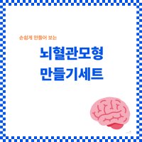 뇌혈관 모형 만들기세트