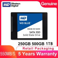 wdssd m.2 하이닉스P41 500g 1tb SSD 고품질 blue 250gb 내부 솔리드 스테이트 디스크 b blue