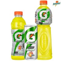 게토레이 레몬 이온 스포츠음료 240ml 600ml 1.5L 6입 각2개씩