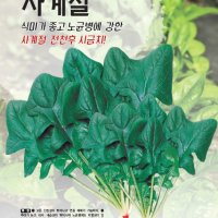 해성종묘 사계절 시금치 500g 종자 seed 유기농제품 농업 친환경 농자재