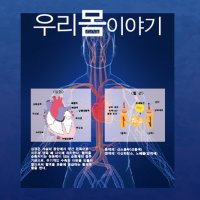 학교 롤스크린 방염 암막 과학실-218