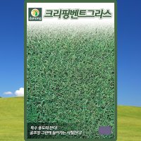 크리핑벤트그라스 잔디씨앗 잔디씨 종자 400g