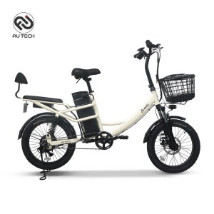 AU테크 스카닉 5X 여성용 2인용 등하원 바구니 전동 전기자전거 48V 10Ah