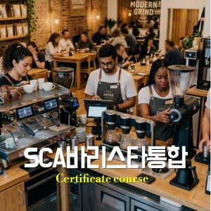 SCA 바리스타 스킬스 통합과정