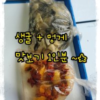 맛보기 굴멍, 생굴회 + 멍게회, 맛보기 생굴회 멍게회, 1인분 생굴회 멍게회, 술안주로 따봉,