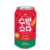 맛있는 탄산수캔 과일탄산수 수박소다업 350ml 24개입