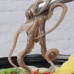 국내산 뻘에서 잡은 목포 산낙지 (대) 5마리