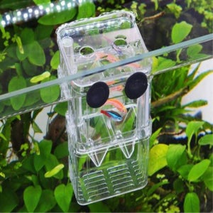 구피 새끼 분리통 부화통 열대어 산란 치어 격리 보호 분리