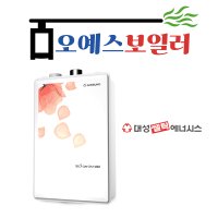 대성쎌틱 일반 2종 보일러 도시가스 DNB 16FC 친환경 저녹스 보일러 교체 (25평이하)