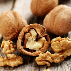 [할인상품] 상촌 호두나무 묘목 - 1~2년생/실생묘