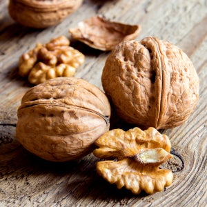 [할인상품] 신령 호두나무 묘목 - H0.6~H1.5 / 실생묘