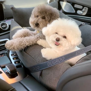 두그루 강아지카시트 차량용 애견 차시트 [올라운드L 드라이빙킷- 차콜엠보] 그늘막포함