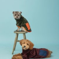 Wagwear 와그웨어 Fleece Zippy NEW 강아지후리스 대형견후리스