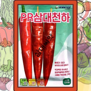 역병내병계 고추씨앗 PR삼대천하 1200립 토양을 안가리는 전천후 고추종자