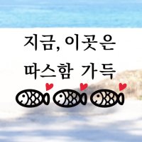 겨울 붕어빵 스티커 좋은글 레터링 카페 이곳은 따스함 가득 감성글