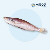 부산 부전시장 반찬용 반건조생선 민어조기 26cm 12마리