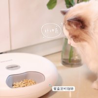 고양이 강아지 자동 사료 급여 급식 배식기 원형