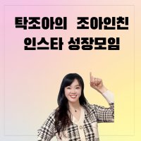 인스타그램 릴스 배우고 실행하는 모임-조아인친