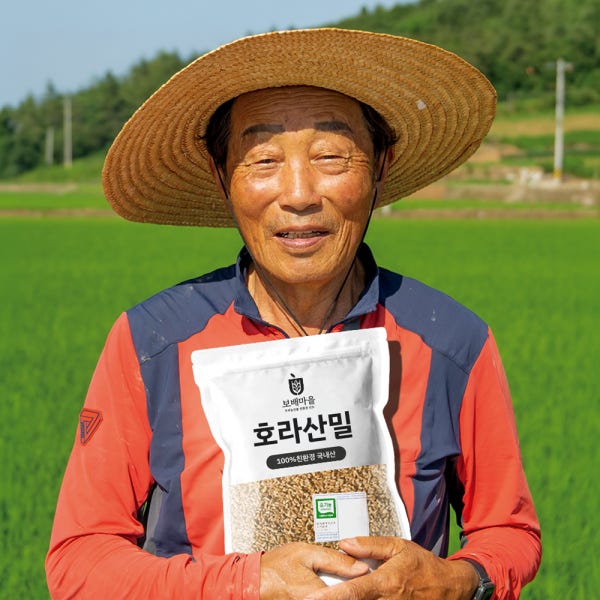 [100% 국산 유기농] 26년산 고대곡물 호라산밀 파로 쌀 중 택일