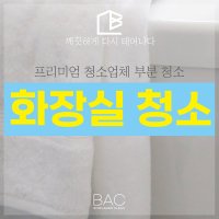 비에이크 입주청소 화장실 청소 홈 케어 가정집 부분 청소 변기 세면대 욕조 샤워부스 서울 경기도