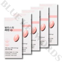 발란스핏&푸드올로지 발란스핏 라인Q 700mg x 28정 X 5박스 20주분