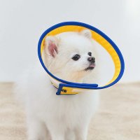 [페스룸] 컴피 메쉬 넥카라 (M) 강아지 목보호대 중성화 깔대기