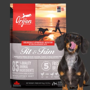 (+소분팩세트) 오리젠 피트앤트림 독, 6kg, 1개