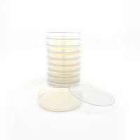 세균배양배지 Tryptic Soy Agar (TSA) 대두카제인소화한천배지 30plate