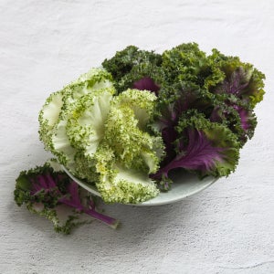 채소팜 로즈잎 0.8~1kg 혼합로즈 적로즈 백로즈