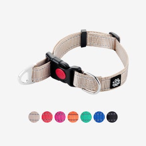 마틴게일 목줄 강아지 반초크 소형견 훈련용 멀티 마팅게일 XS