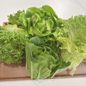 유러피안 샐러드 야채 상추 1kg 쌈채소 버터헤드 바타비아 로메인등 3종이상
