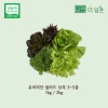 상추1kg