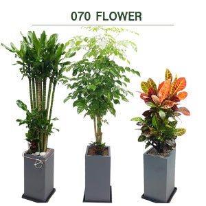 공기청정화분 부산화환 화분선물