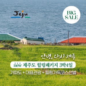 홈쇼핑 방영 제주 가파도 카멜리아힐 오설록 숨도 기프트 제공 힐링 3박4일 실속형 패키지