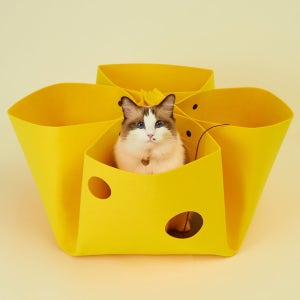 치즈만두 숨숨집 고양이 터널