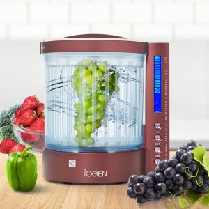 리빙웰 이오젠 가정용 과일야채 살균세척기 국내제조/채소세척/농약제거/ES-4400