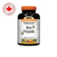 홀리스타 캐나다 비 프로폴리스 HOLISTA BEE PROPOLIS 500mg 대용량 200정