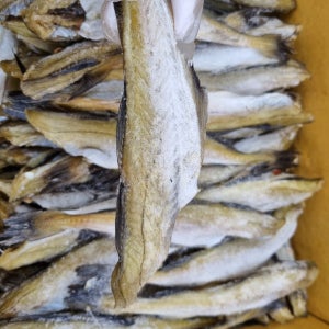 쫀득쫀득 반건조 노가리380g