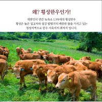 (배터짐)통 횡성 한우 머리 반두9kg내외 소머리 고기 사골 도가니 우족 스지 갈비 꼬리