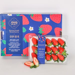 베리라이스 갓딴딸기 프리미엄 설향 금실 제철 생딸기 850g 이상 특품 고당도 산지직송 당일수확