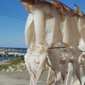 국내산 건조 오징어 20마리 1kg 포항 구룡포 마른 건오징어