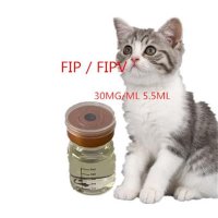 양계장 액체 Fip / 고양이, 최고 품질